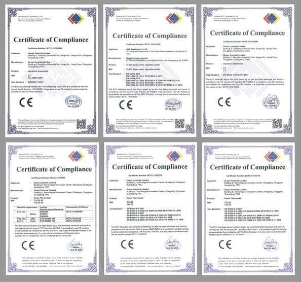 Chiny Ocean Controls Limited Certyfikaty